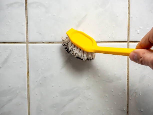 Best Local Mold Removal Service  in Carrollton, TX