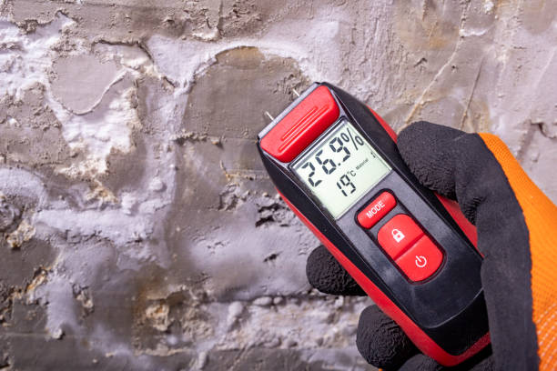 Best Mold Removal and Inspection  in Carrollton, TX