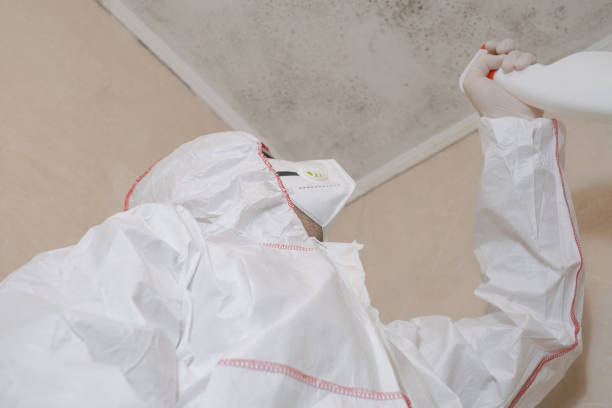 Best Commercial Mold Removal  in Carrollton, TX