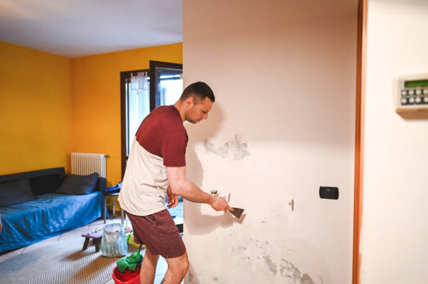 Best Black Mold Removal  in Carrollton, TX