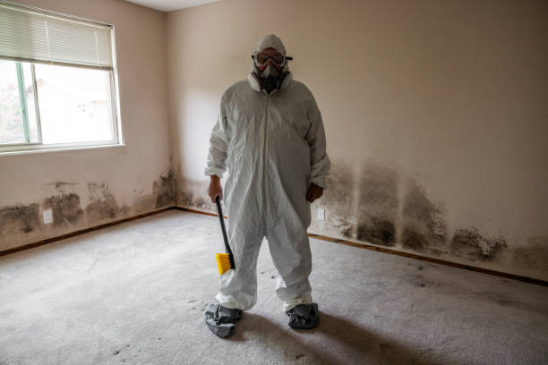 Best Home Mold Removal  in Carrollton, TX